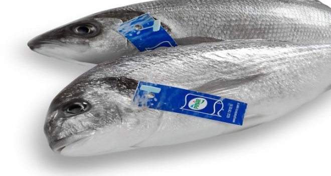 Türkiye’nin ilk sürdürülebilir akuakültür tesisi Pınar Balık