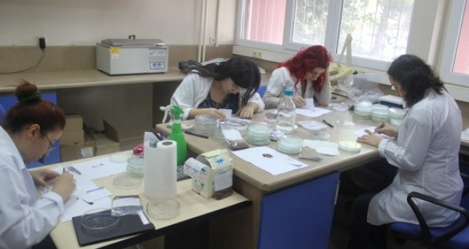 Türkiye’nin ilk ve tek Tohum Teknolojisi Merkezi Ege’de