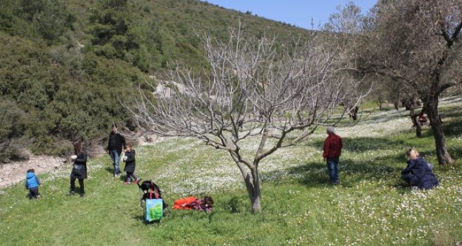 Urla Ot Festivali için geri sayım başladı