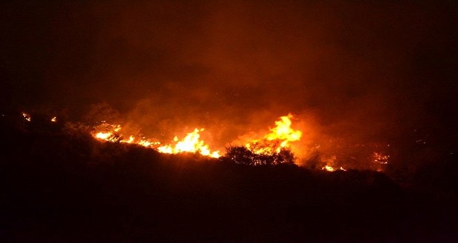 Karşıyaka'da orman yangını...