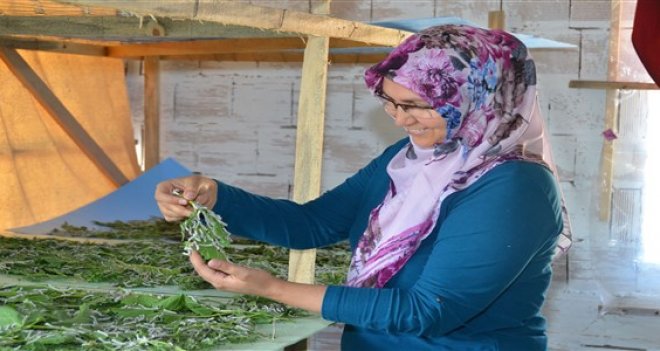 Yeniden ''ipek'' dönemi